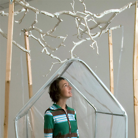 its raining trees joanie turbek